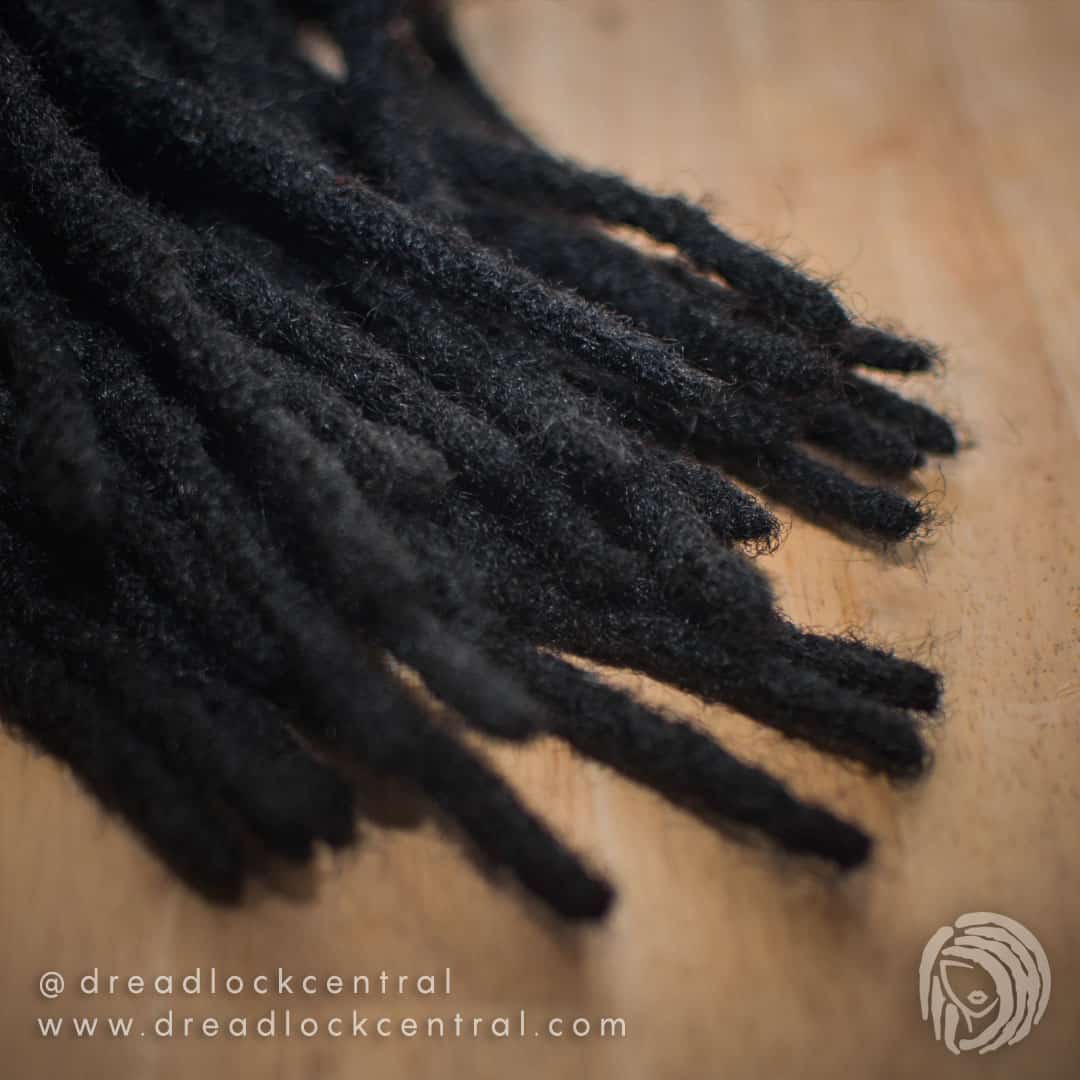 Permanent Human Hair Dreadlock Extensions to be Installed for our client